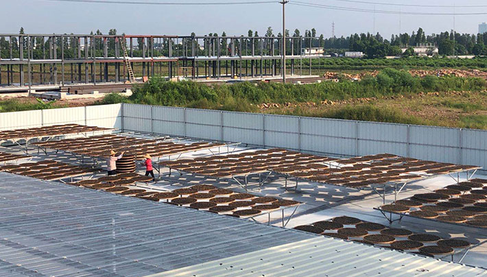 小黄片APP下载视频廠房