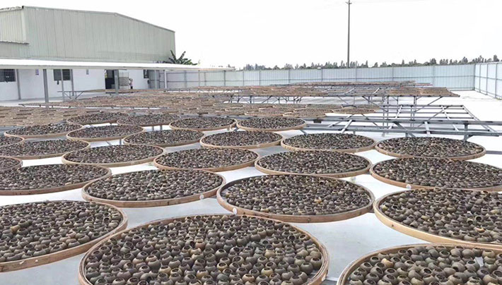 小黄片APP下载视频廠房