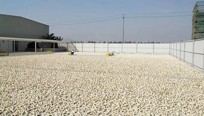 小黄片APP下载视频廠房