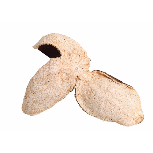 四川特級新會小黄片在线播放茶品牌