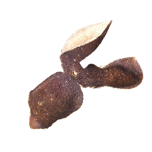 太原怎麽泡普洱小黄片在线播放價格