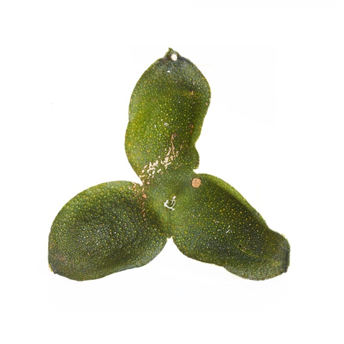 貴陽怎麽泡小黄片污视频價格